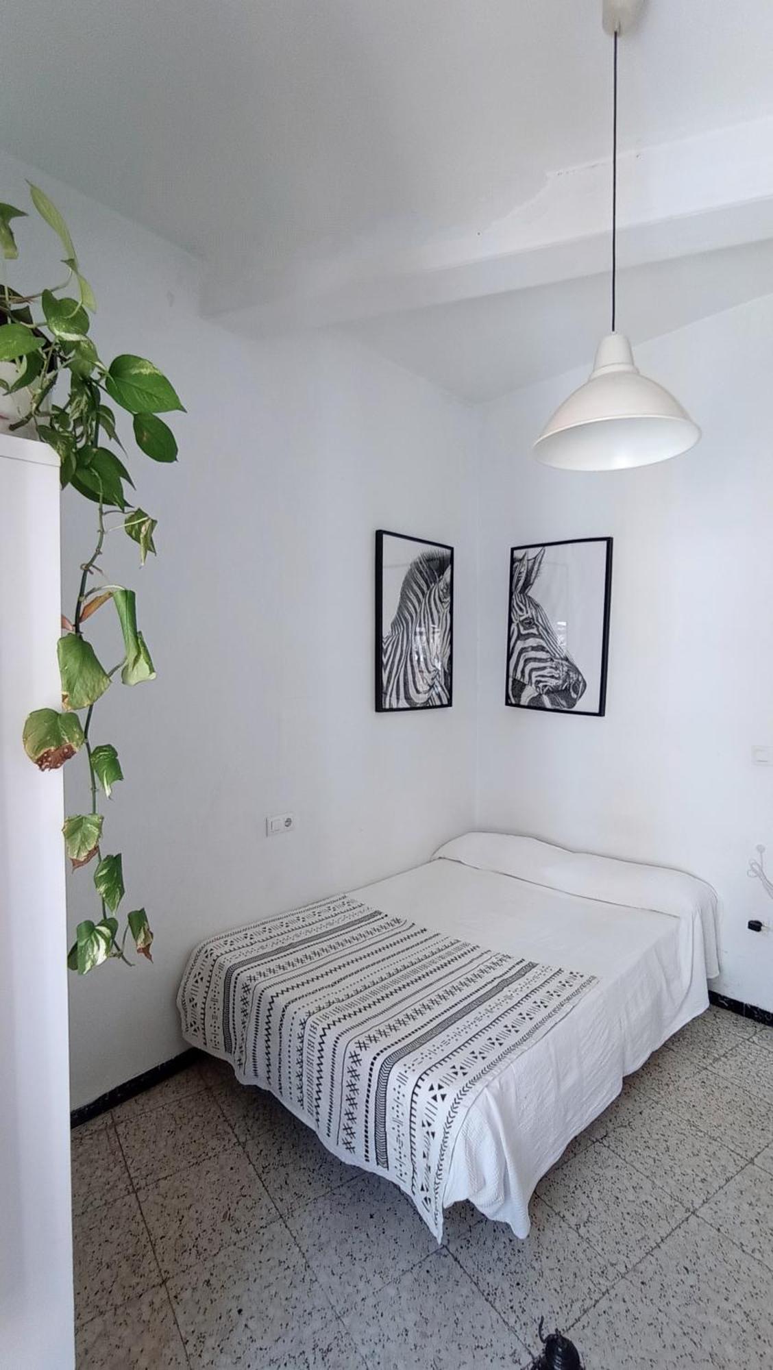 Preciosa Habitacion En Pleno Centro De Sevilla Ideal Para Hacer Turismo Y Vivir La Ciudad Kültér fotó